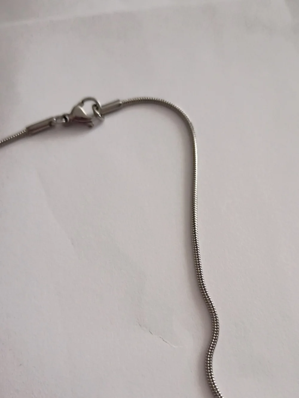 Silver Snake Chain Necklace